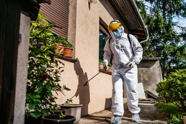 Best Termite Control Services  in Mount Ephraim, NJ