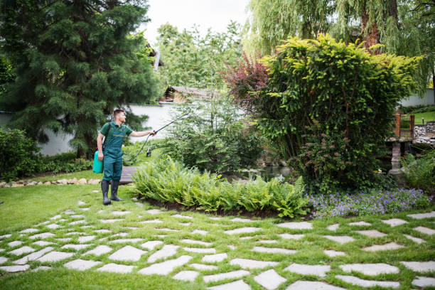 Best Pest Removal Services  in Mount Ephraim, NJ