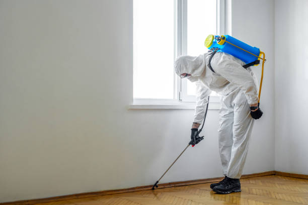 Best Wildlife Control Services  in Mount Ephraim, NJ