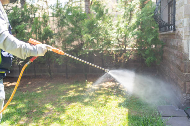 Best Emergency Pest Control  in Mount Ephraim, NJ
