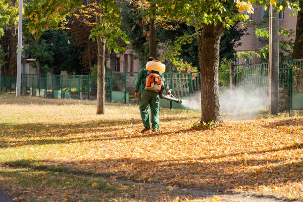 Best Wasp Removal Services  in Mount Ephraim, NJ