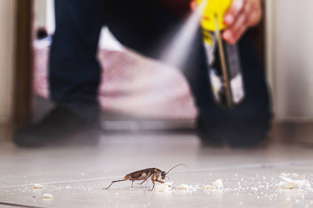 Trusted Mount Ephraim, NJ Pest Control Experts