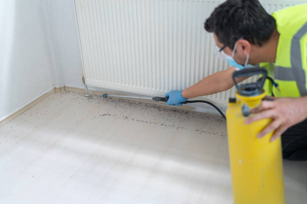 Best Residential Pest Control  in Mount Ephraim, NJ